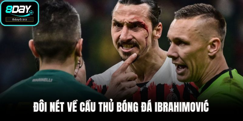 Đôi nét về cầu thủ bóng đá Ibrahimović