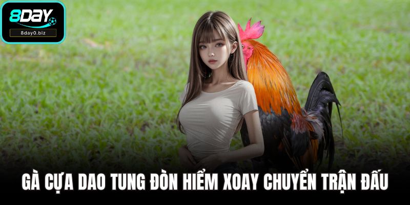 Gà cựa dao tung đòn hiểm xoay chuyển trận đấu